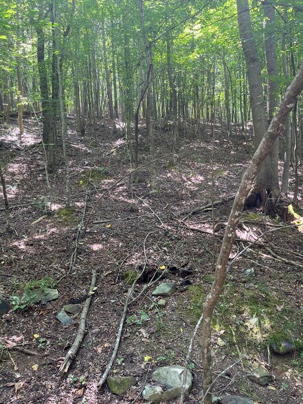 Primary Photo Of 000 Old Goldmine Rd, Marshville Land For Sale