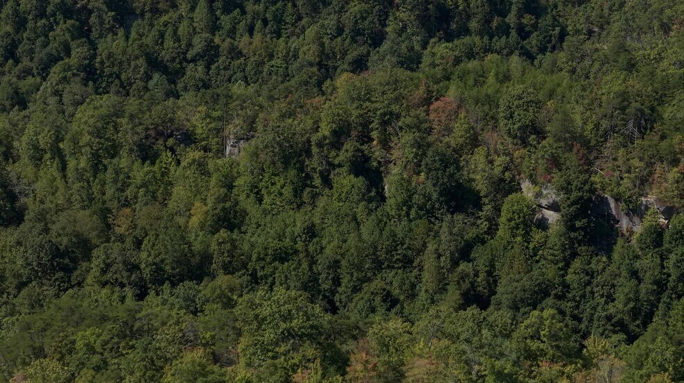 More Photos Of 9999 State Hwy 1036, Beattyville Land For Sale