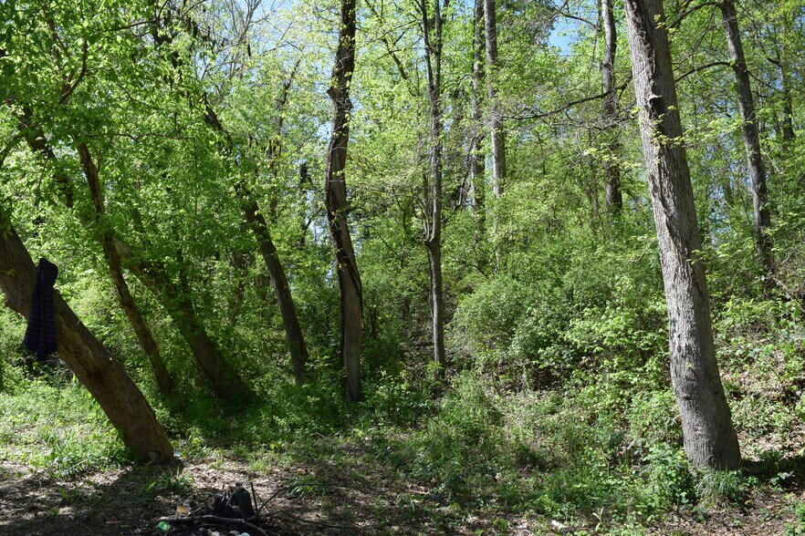 More Photos Of 1397 Armstrong Ford, Belmont Land For Sale