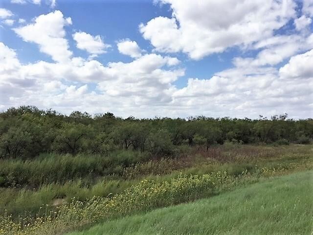More Photos Of US 277, Haskell Land For Sale