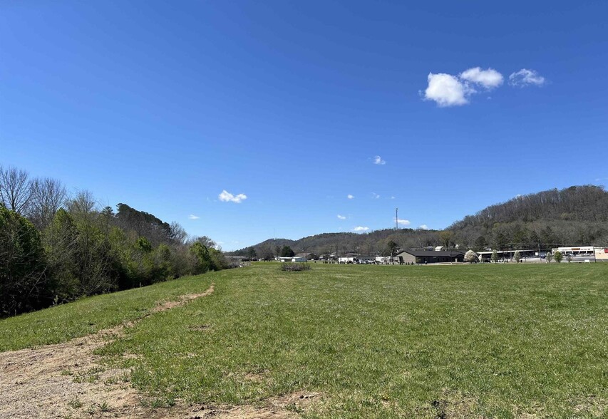 Primary Photo Of 0 2nd Ave, Oneonta Land For Sale