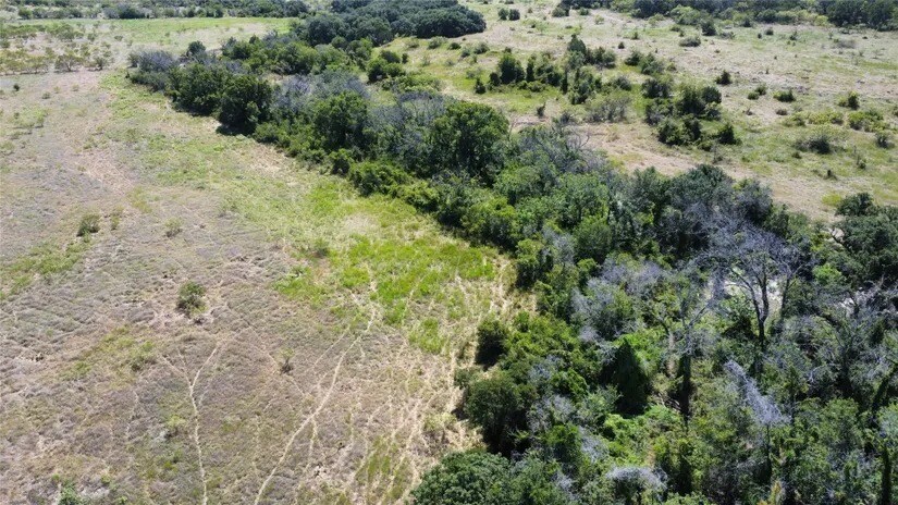 More Photos Of TBD FM 2486, Gustine Land For Sale