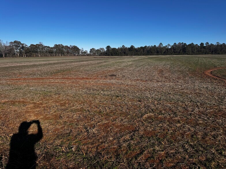 More Photos Of 0 Wiggins Road, Frisco City Land For Sale