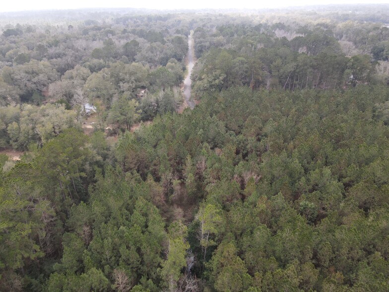 More Photos Of 0 Baldwin St, Satsuma Land For Sale