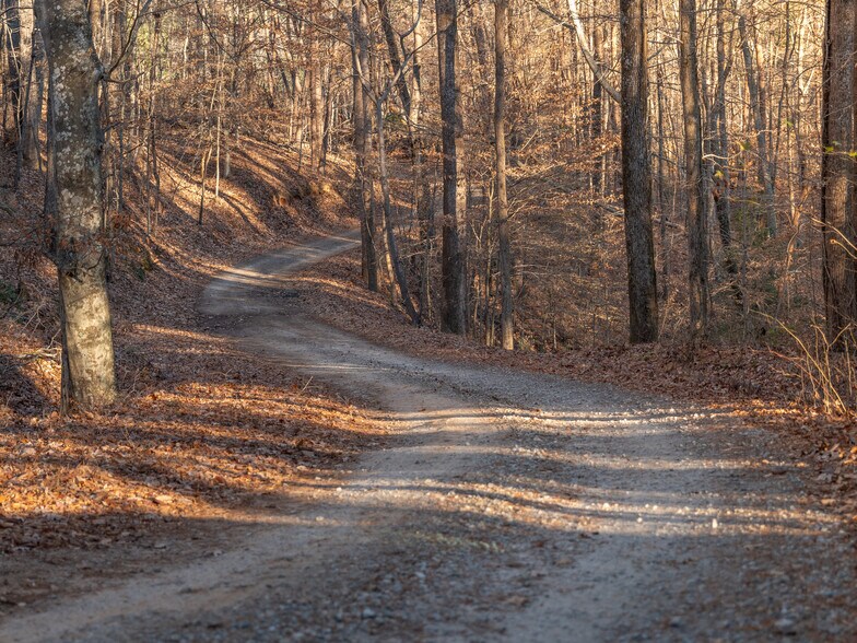 More Photos Of 00 Pittman Rd, Landrum Land For Sale