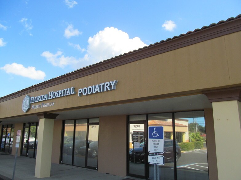 More Photos Of 36401-36531 Us Hwy 19 N, Palm Harbor General Retail For Lease
