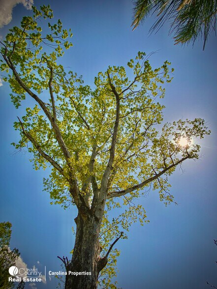 More Photos Of 1084 Stoney Pointe, Lexington Land For Sale