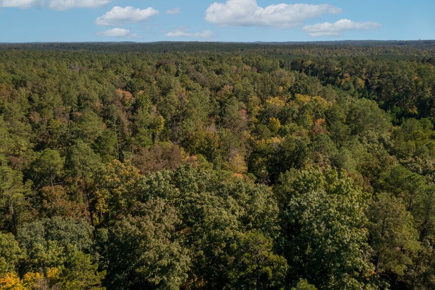 More Photos Of Walter Bright Road & 15-501, Sanford Land For Sale