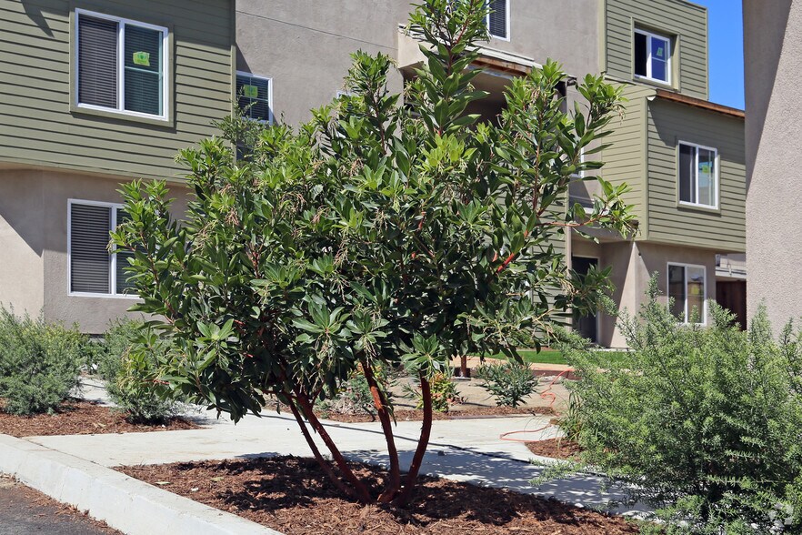 More Photos Of 307 Sycamore Rd, San Ysidro Apartments For Sale