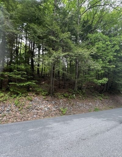 More Photos Of 0 Cheney Hill Rd, Bradford Land For Sale