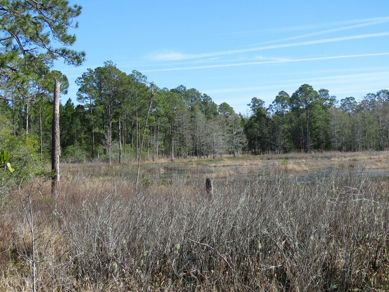 More Photos Of 9570 NE 35th st, Bronson Land For Sale