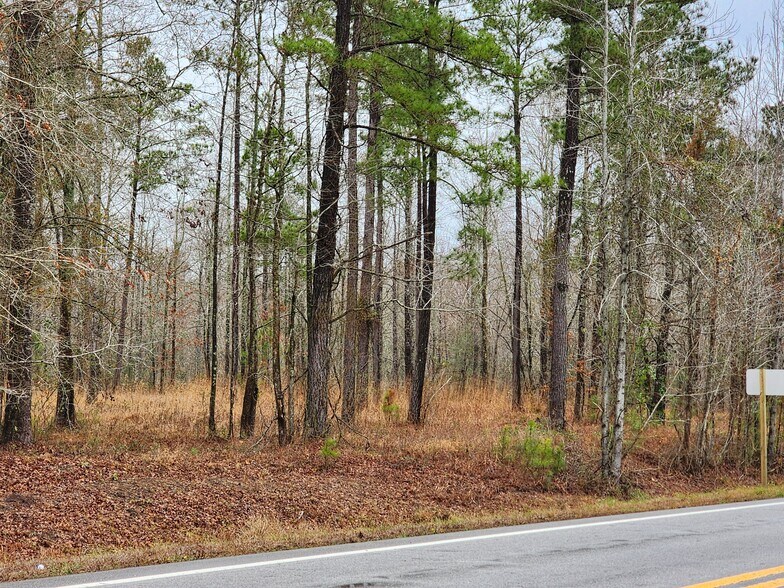 More Photos Of 8055 US-17, Vanceboro Land For Sale