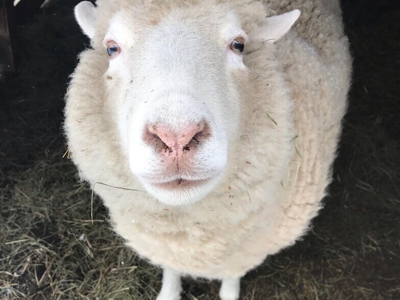 More Photos Of 399 Depot St, Proctorsville Hospitality For Sale