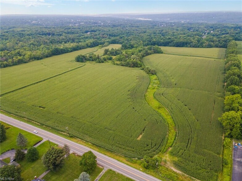 More Photos Of 3810 Center, Youngstown Land For Sale