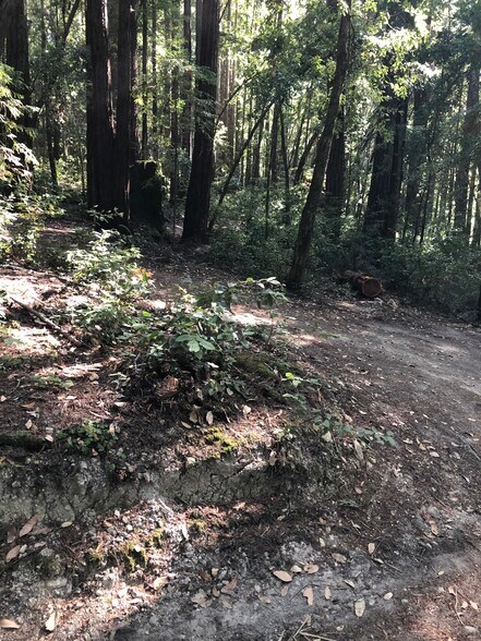 More Photos Of 00 Back Road, La Honda Land For Sale