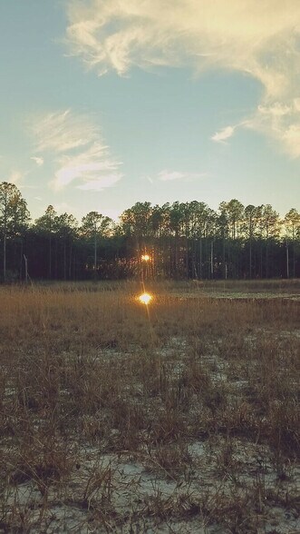 More Photos Of 13615 Tyrone St, Hudson Land For Sale