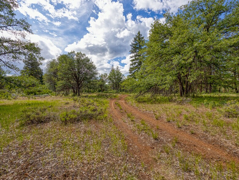 More Photos Of LP 1414 LP 1414 Highway 140 Hwy, Klamath Falls Land For Sale