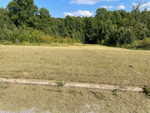 More Photos Of 1 Park Plz, Greenville Land For Sale