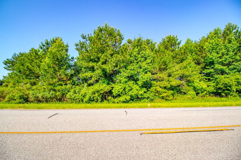 More Photos Of NC Hwy 94, Creswell Land For Sale