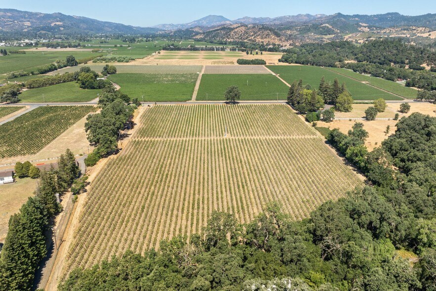 More Photos Of 79 Zinfandel Ln, Saint Helena Land For Sale