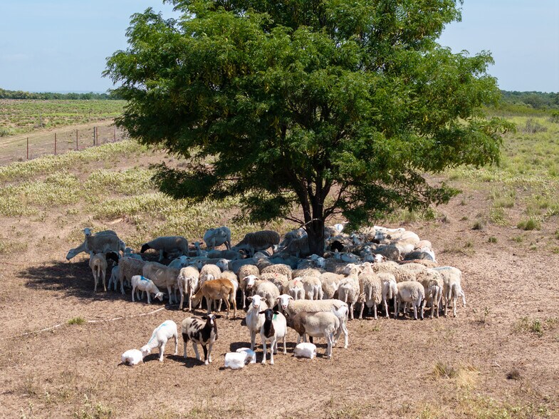 More Photos Of 6430 County Road 23, Shamrock Land For Sale