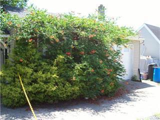 More Photos Of 10 Park Ave, Stafford Township Showroom For Sale