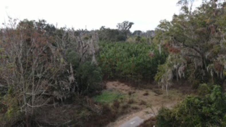 More Photos Of 10602 NW 143rd St, Alachua Land For Sale