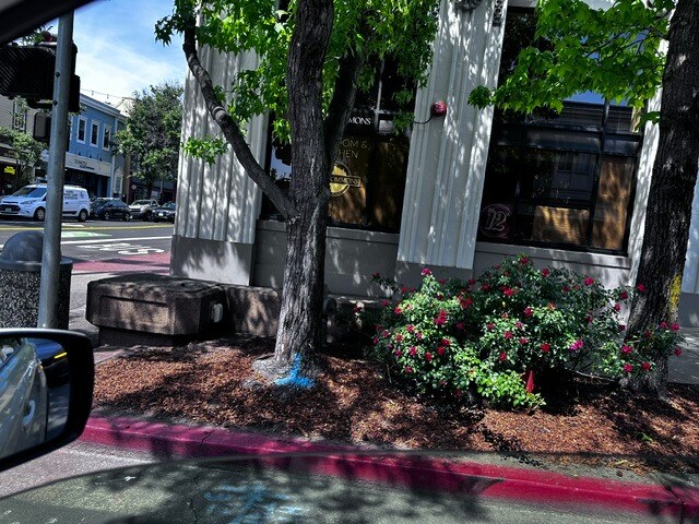 Primary Photo Of 1300 4th St, San Rafael Storefront Retail Office For Sale