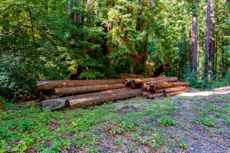 More Photos Of 2372 McKenzie Creek rd, Scotts Valley Land For Sale