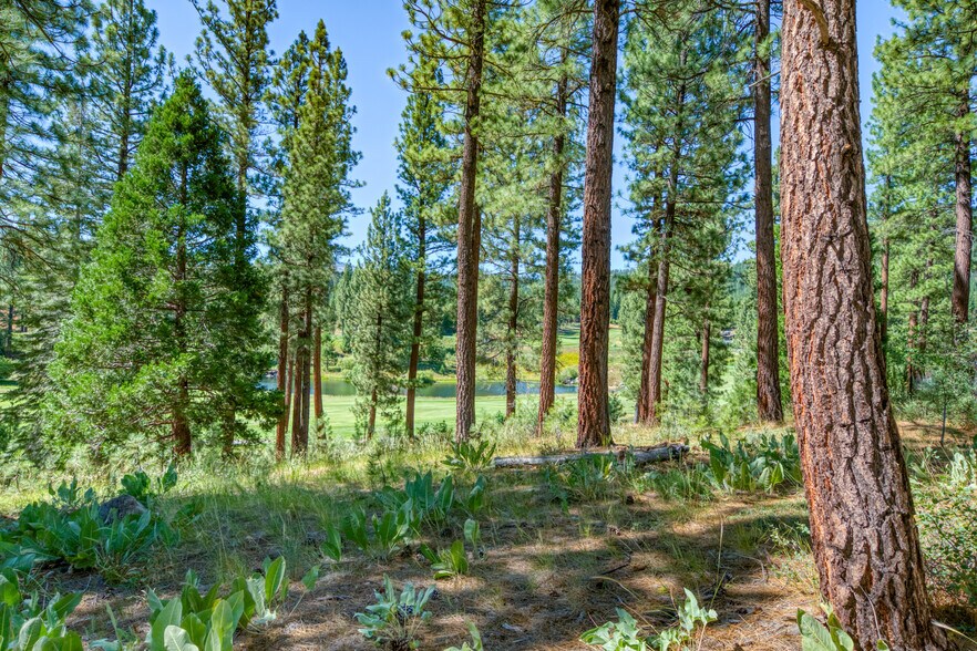 More Photos Of 241 Fox Sparrow, Portola Land For Sale