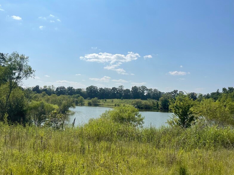 More Photos Of 17192 Co 21 rd, Marion Junction Land For Sale