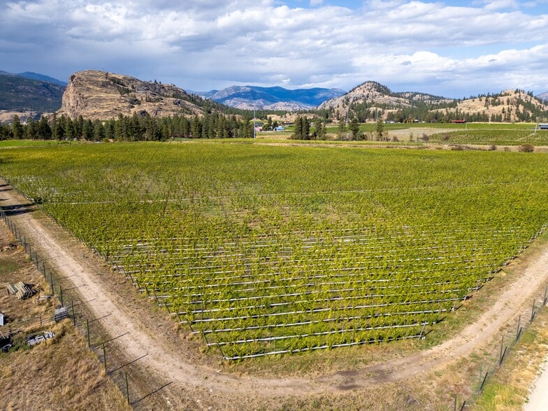 More Photos Of 1580 Chapman Rd, Okanagan Falls Winery Vineyard For Sale