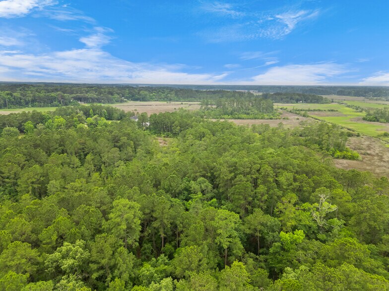 More Photos Of 129 Salt Creek Rd, Savannah Land For Sale