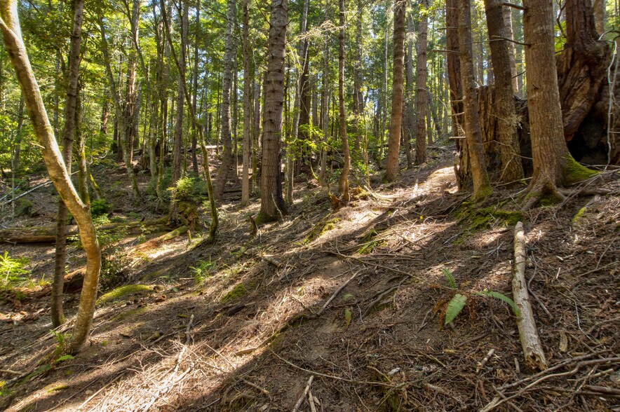 More Photos Of 33170 Frog Pond rd, Little River Land For Sale