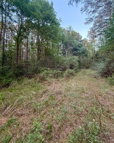 More Photos Of State Highway 75 South, Huntsville Land For Sale