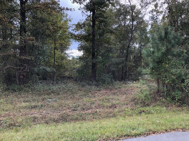 More Photos Of Wood Oak Cir, Cochran Land For Sale