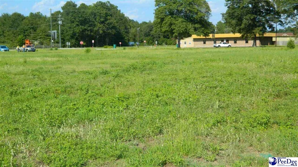 More Photos Of 4603 W Highway 76, Marion Land For Sale