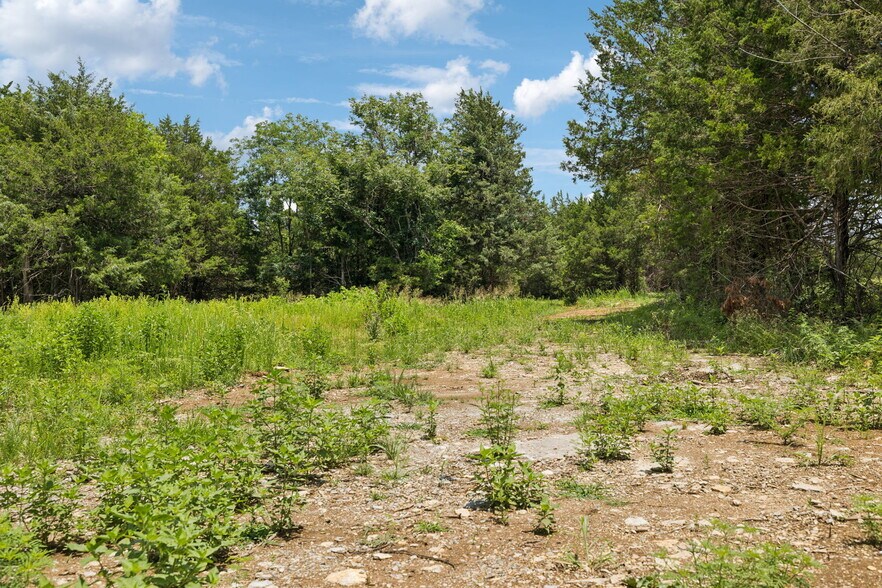 More Photos Of 7665 Shelbyville Pike, Christiana Land For Sale