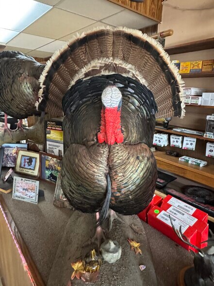 More Photos Of 215 W Main St, Marshall General Retail For Sale