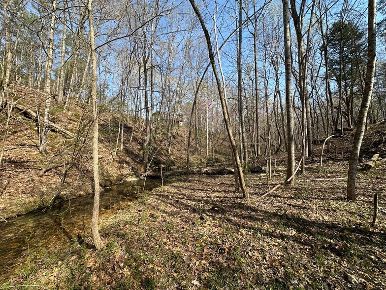 More Photos Of 7312 Highway 60, Georgetown Land For Sale