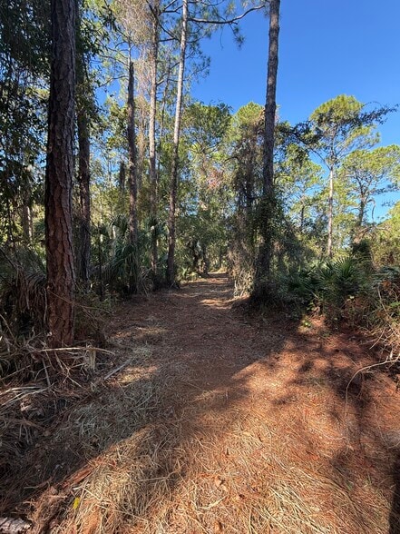 More Photos Of Shoal Line Blvd @ osowaw Blvd, Hernando Beach Land For Sale