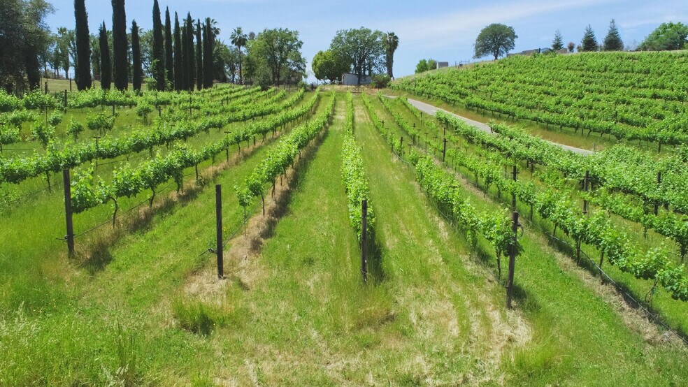 More Photos Of 7071 Ridge Road, Newcastle Winery Vineyard For Sale