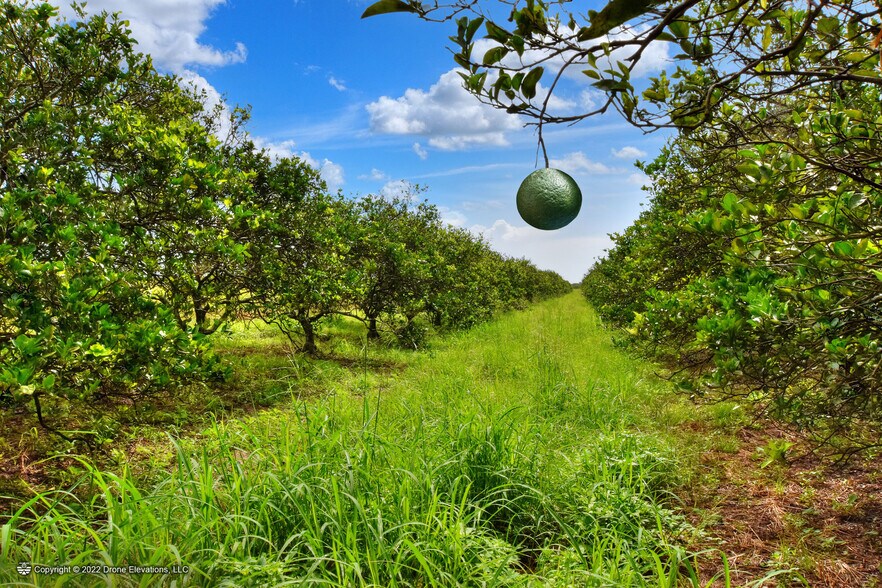 More Photos Of 5015 Fish Branch Rd, Zolfo Springs Land For Sale