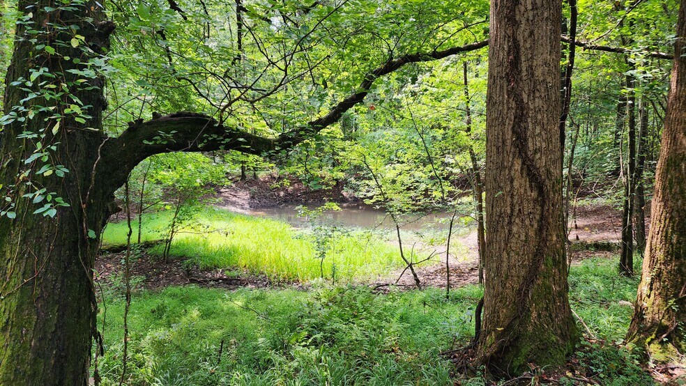 More Photos Of 1661 Friendship Rd, Hoschton Land For Sale