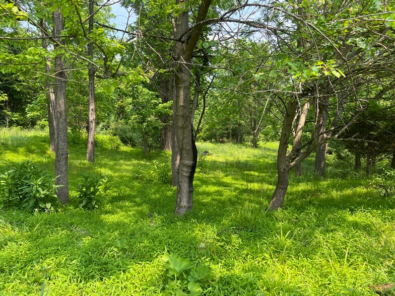 More Photos Of 3111 S Walnut Street Pike, Bloomington Land For Sale