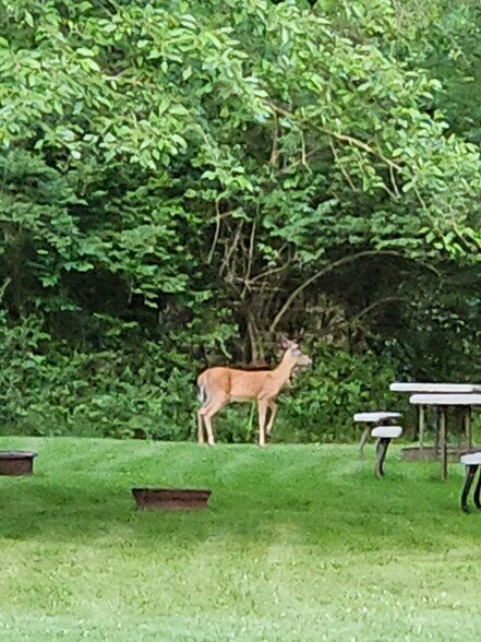 More Photos Of 36026 Jewell Ct, Earlham Land For Sale