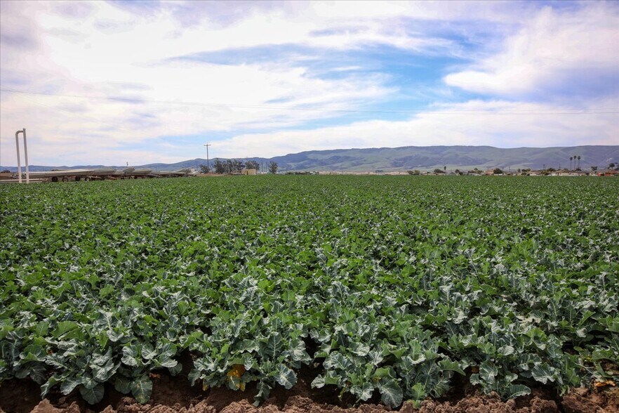 More Photos Of Flower Ave @ Highway 166, Guadalupe Land For Sale