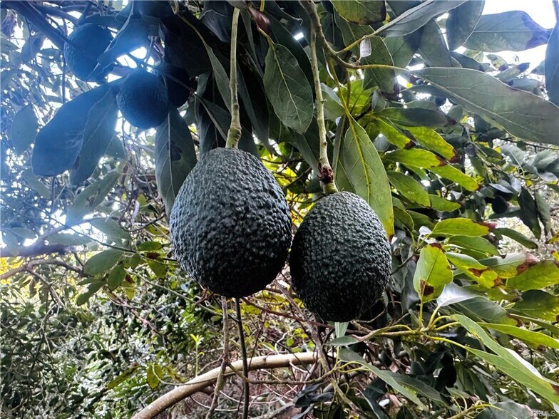 More Photos Of 0 Gopher Canyon Rd, Vista Land For Sale