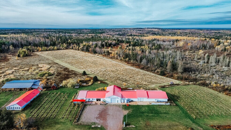 More Photos Of 851 Route 970, Baie Verte Winery Vineyard For Sale