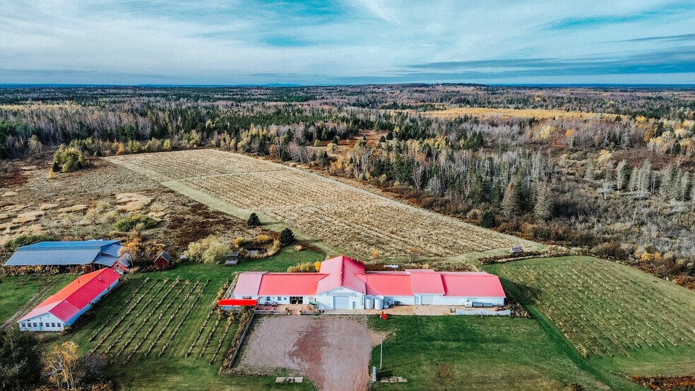 More Photos Of 851 Route 970, Baie Verte Winery Vineyard For Sale